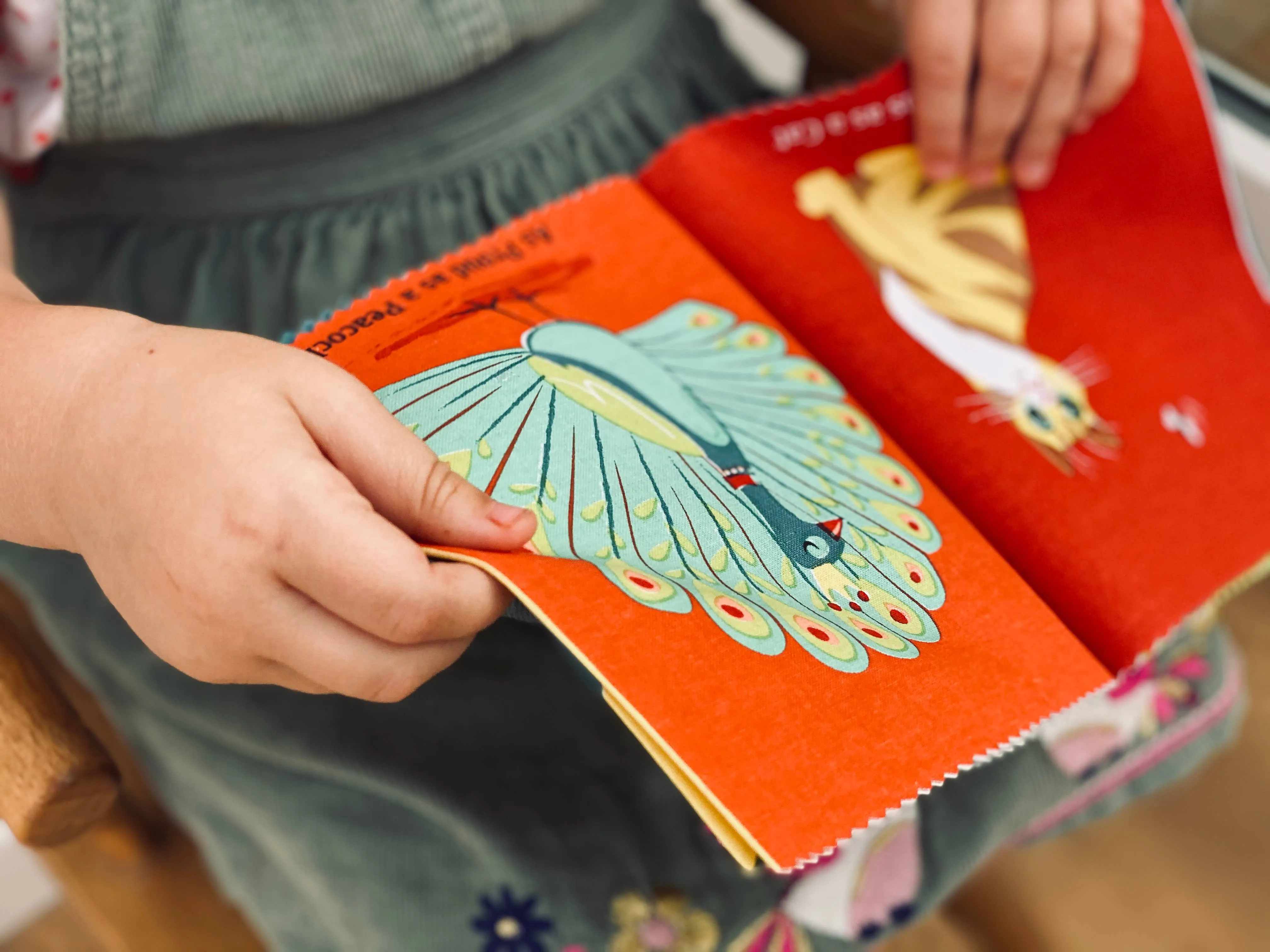 Brave as a Bear Rag Book
