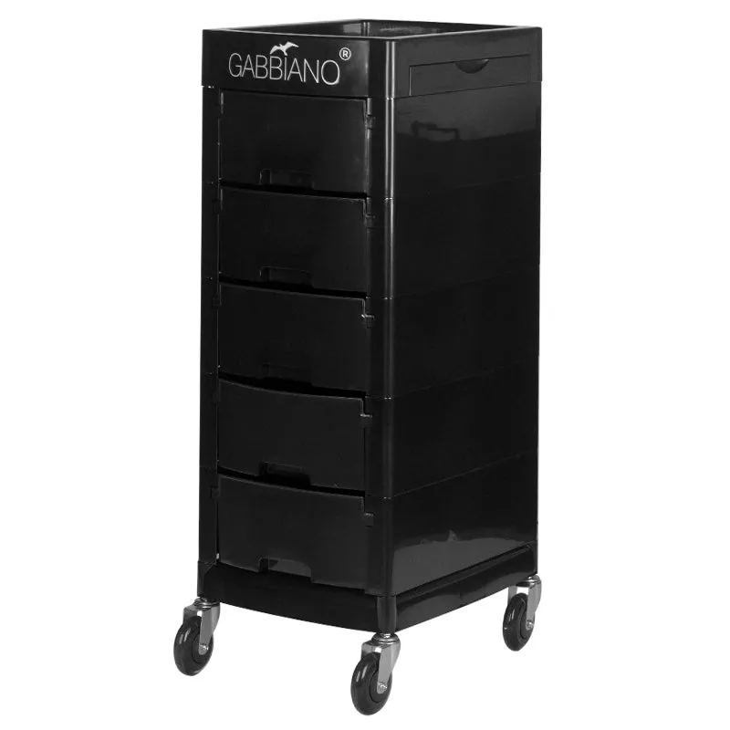 Gabbiano hairdressing assistant ft65-a black