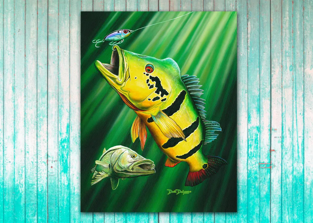 Peacock Bass & Snook