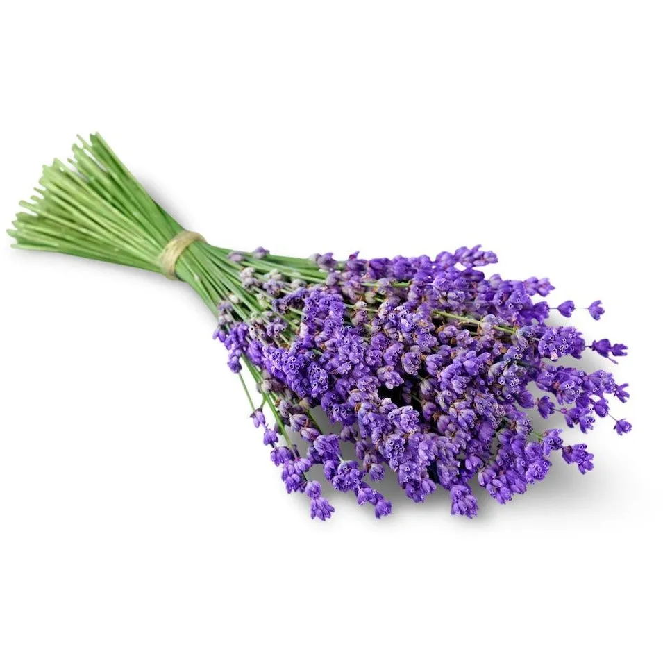 Soothe Me Shampoo   Body Wash, Green Tea   Lavender